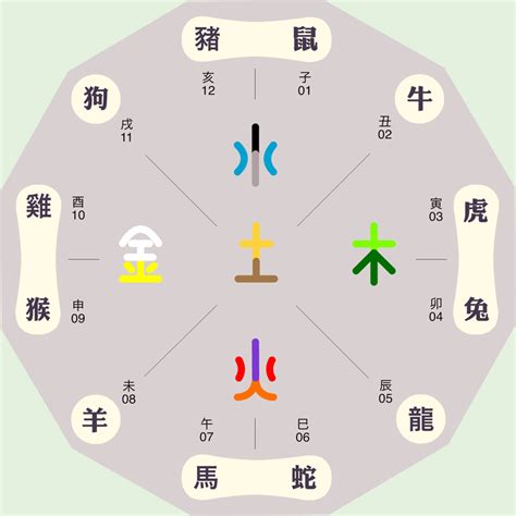 癸屬性|十二地支五行屬性 